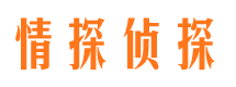 沙县侦探公司